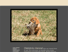 Tablet Screenshot of kennel.olebjork.se